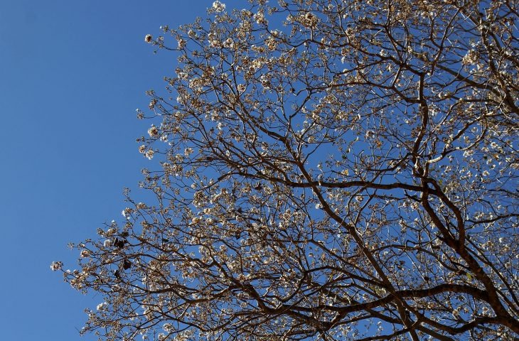 Frente fria avança e fim de semana pode ter mínima de 4°C Foto: Chico Ribeiro