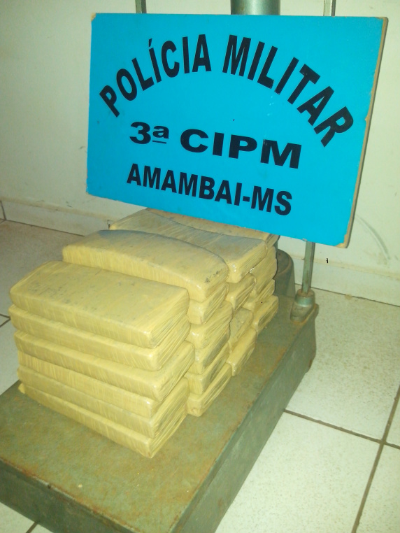 Droga foi encontrada no terreno baldio ao lado da casa do autor / Foto: Assessoria