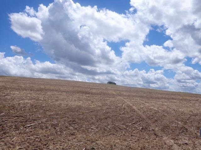 Área desmatada ilegalmente em propriedade rural de Ponta Porã (Foto: PMA/Divulgação)