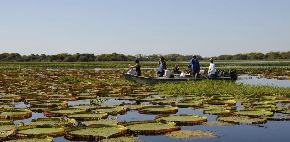 Chineses reconhecem potencial turístico do Pantanal