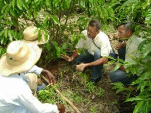 Produtores já podem acessar cartilha de programa para reduzir emissão de carbono