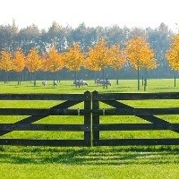 Você sabe o que é resseguro rural?