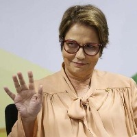 A agricultura brasileira vai continuar crescendo sem destruir sequer uma árvore A agricultura brasileira vai continuar crescendo sem destruir sequer uma árvore