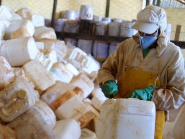 Somente este ano, 80 novos produtos agrotóxicos foram liberados no Estado Iagro autorizou cadastro de 80 novos agrotóxicos em Mato Grosso do Sul este ano (Foto: Revista Safra)