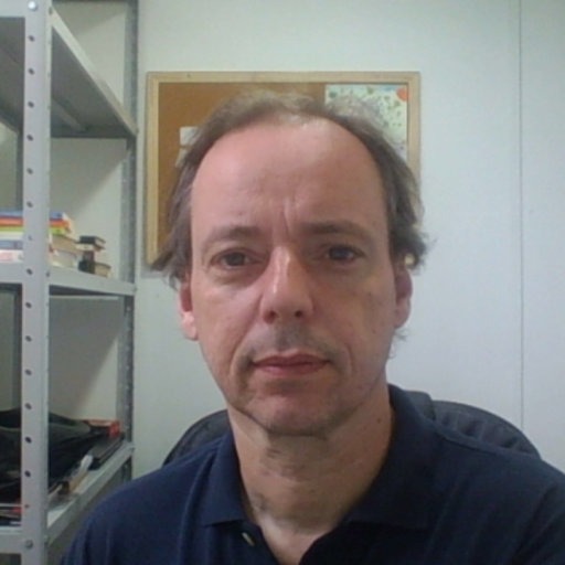Cientista político Fernando Guarnieri, mestre e doutor pela Universidade de São Paulo (USP) e atualmente vinculado ao Instituto de Estudos Sociais e Políticos (IESP-UERJ)