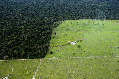 Ambientalista defende firmeza do Brasil na COP21 sobre redução do desmatamento