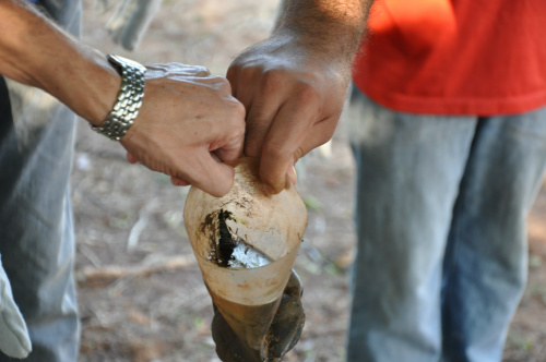 Larvas do mosquito Aedes aegypti foram encontradas no primeiro dia da foraç-tarefa em Amambai.
