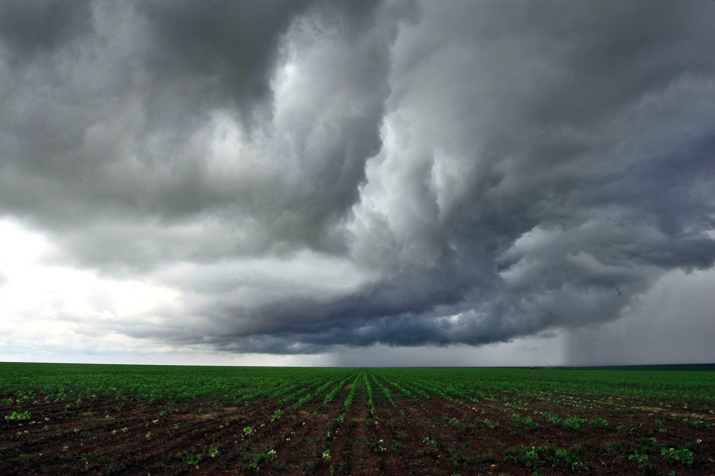 Previsão de chuva para a região norte nesta terça-feira (8)
