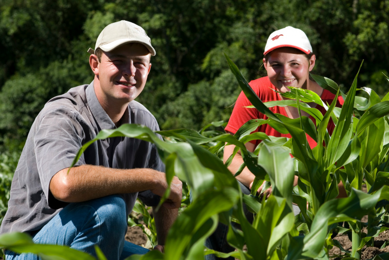 Plano Safra da Agricultura Familiar terá R$ 24,1 bilhões