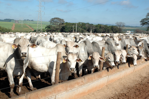 Confinamento em ascensão
