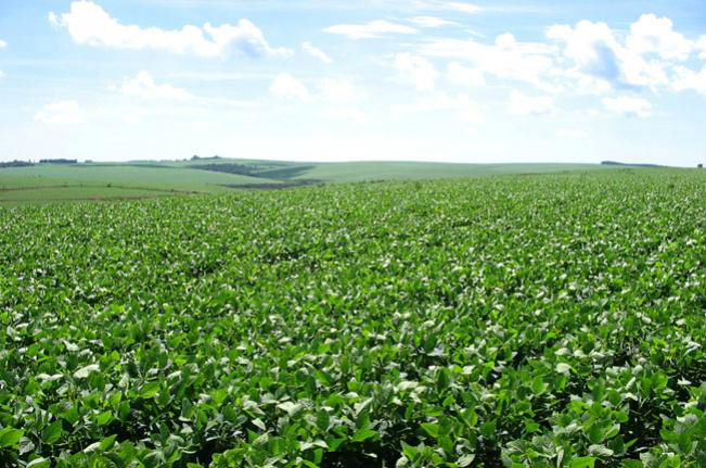 Agroindústria brasileira registra queda de 2,3% em 2011