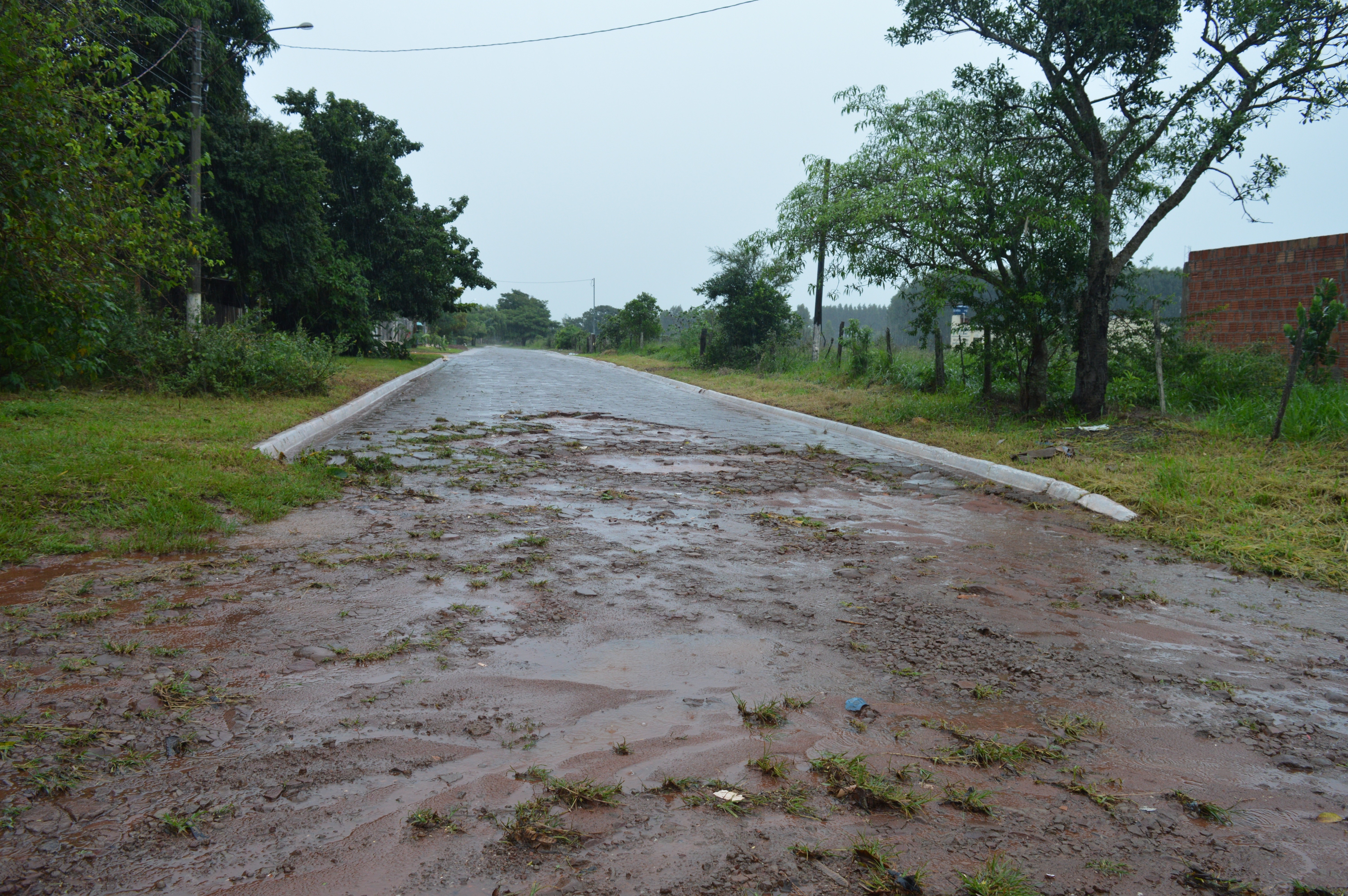 Revitalização dos bloquetes / Foto: Moreira Produções