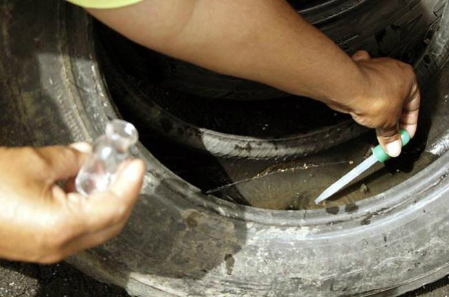 Saúde dispara alerta contra a dengue Saúde dispara alerta contra a dengue