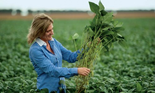 A presença da mulher no agronegócio