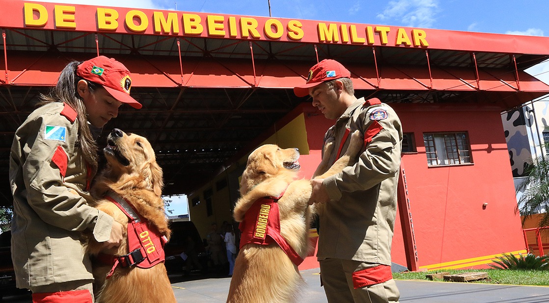 Bombeiro voluntário é exemplo de altruísmo e cidadania Projeto Cão herói, cão amigo é um das frentes de atuação para quem quer ser voluntário no Corpo de Bombeiros