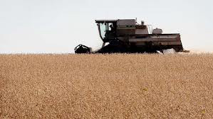 Índice de commodities registra queda de 1,41% em janeiro, informa BC