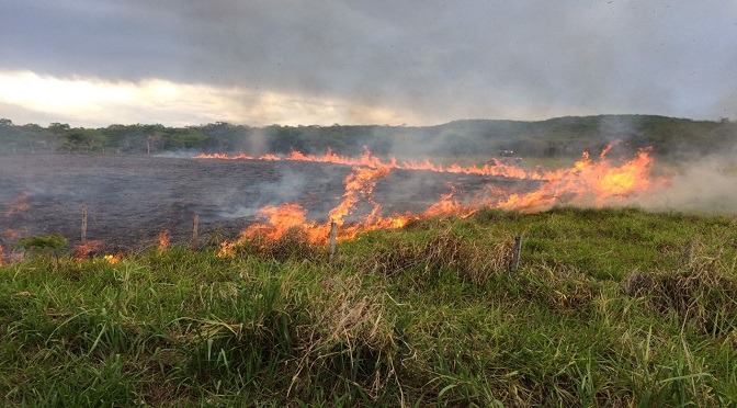 Riscos de queimadas no campo aumentam durante o período de estiagem