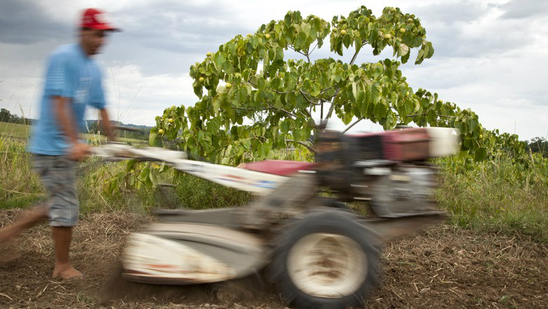 Dilma oficializa criação de agência de extensão rural