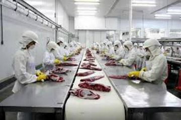 Exportação de carne em MS atinge mais de US$ 917,7 milhões