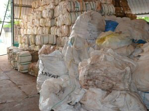 Mais de 9 toneladas de embalagens de defensivos são recolhidas em MS