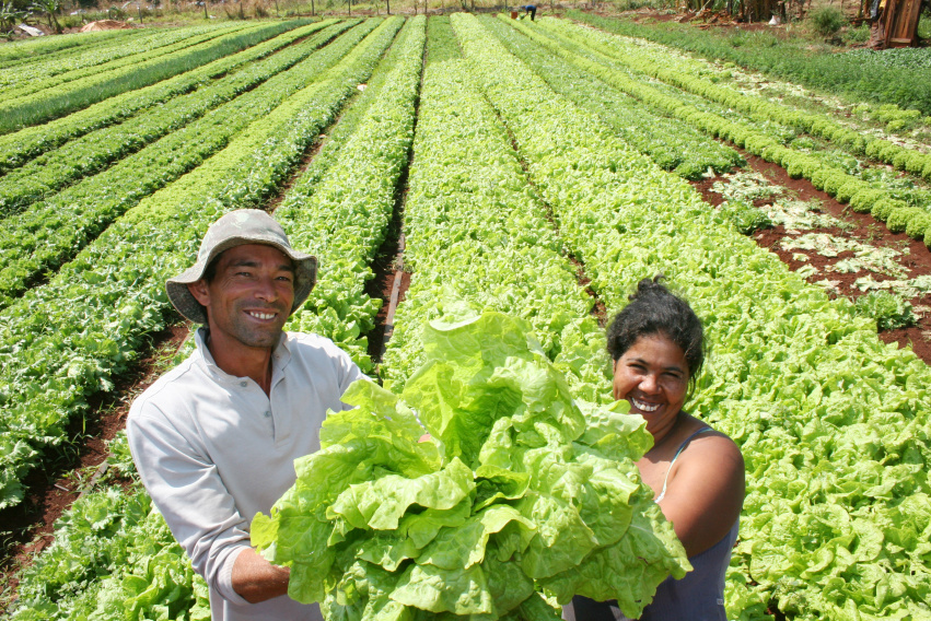Agricultura familiar brasileira é exemplo para União Africana