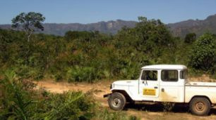 Crise no MAPA preocupa responsáveis pela fiscalização agropecuária