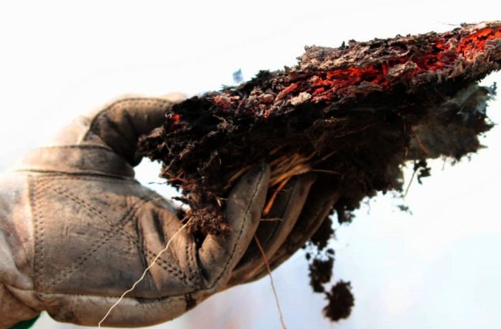 Combate aos focos de calor é um novo desafio a cada dia no Pantanal Bombeiros combatem fogo nos focos de maior proporção, ao Norte de Corumbá / Foto: Portal do Governo de MS