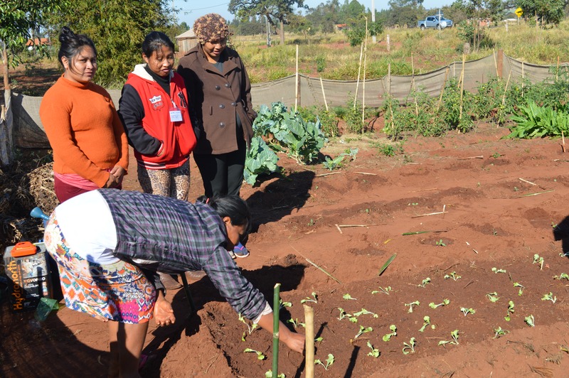 Sindicato Rural de Amambai e Senar promovem capacitação em diversas áreas Os cursos são abertos a toda população / Foto: Moreira Produções