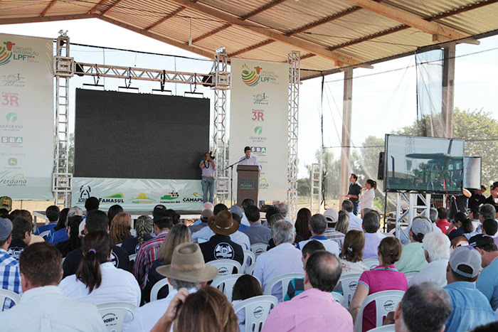 Sindicato rural de Camapuã promove circuito para difusão de sistemas integrados