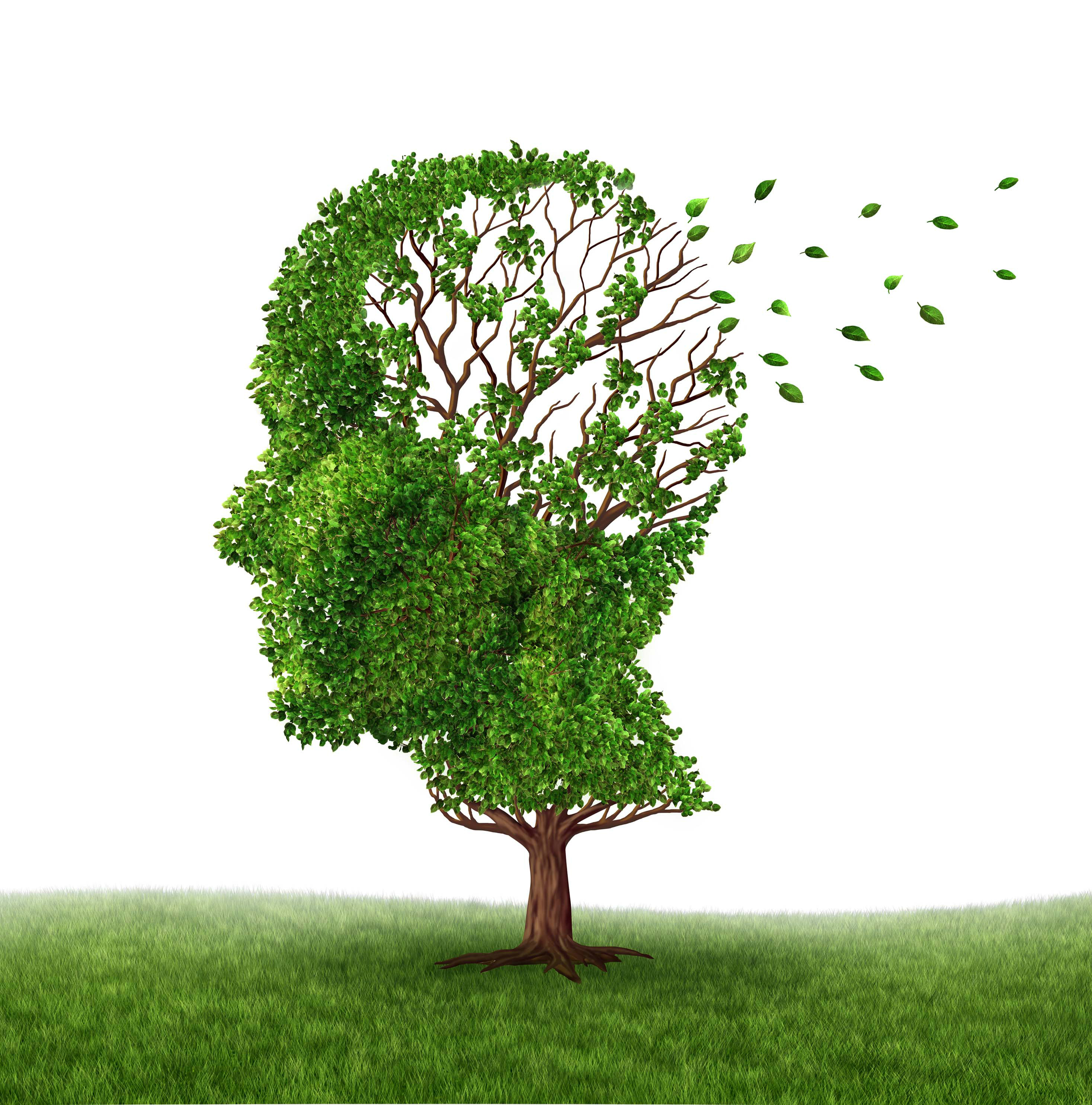 Mês do Alzheimer terá cerca de 100 ações no MS e outros 17 Estados Foto/Divulgação