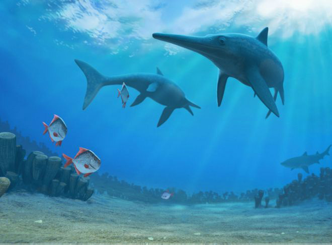 Cientistas afirmam que o ictiossauro evoluiu muito lentamente e, quando o ambiente mudou, ele não conseguiu acompanhar