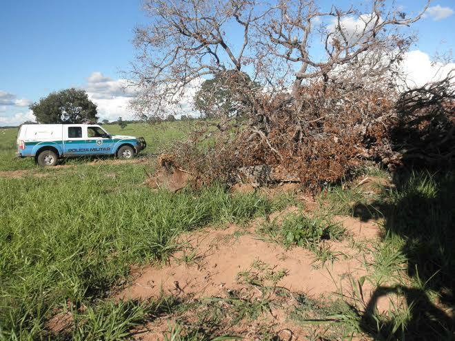 Proprietário da fazenda foi multado em R$ 23.700,00 / Foto: PMA