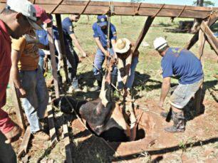 Ação para retirar animal demorou 5 horas