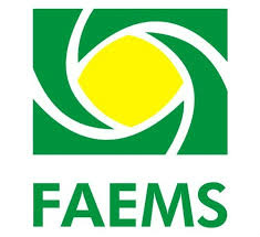 Faems/Divulgação