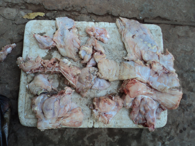 PMA autua dois caçadores em R$ 13 mil por abate de jacarés no Pantanal