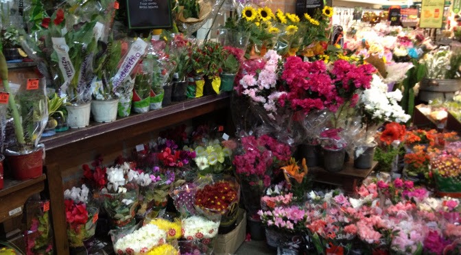 Dia de Finados: Procon divulga pesquisa de preços de velas e flores Foto: Divulgação
