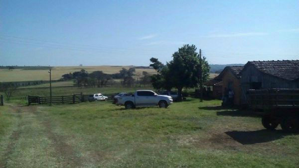 Foto: Reprodução da Internet