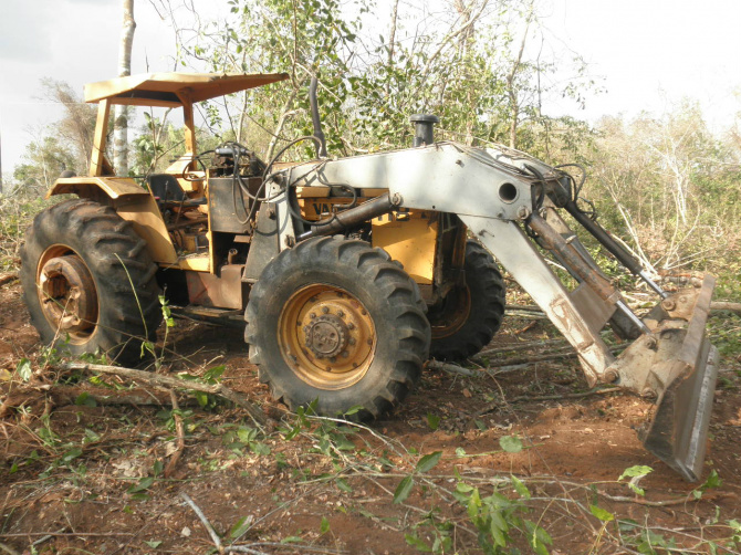 PMA autua fazendeiro em R$ 4 mil por desmatamento ilegal