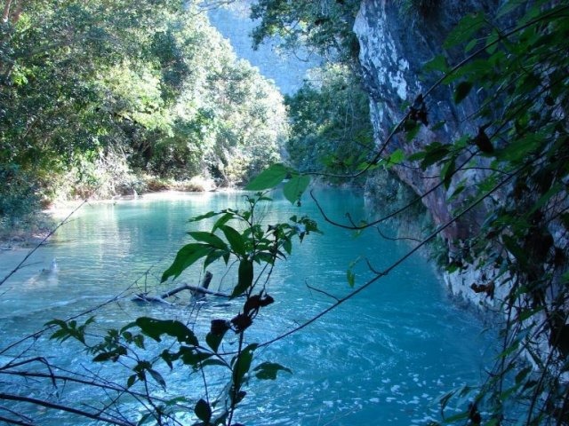 O Córrego Azul é um lugar para quem curte flutuação e mergulho ou simplesmente de contemplação (Foto: ICMBio/Bonito)