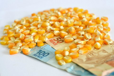 Volume de crédito rural cresce 17,9% em 2014 Foto: Ascom Famasul