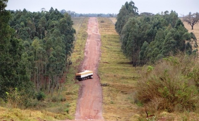 Vereador Dilmar cobra do Ministério da Infraestrutura pavimentação da rodovia MS-289/Amambai/Jutí / Foto: Divulgação 