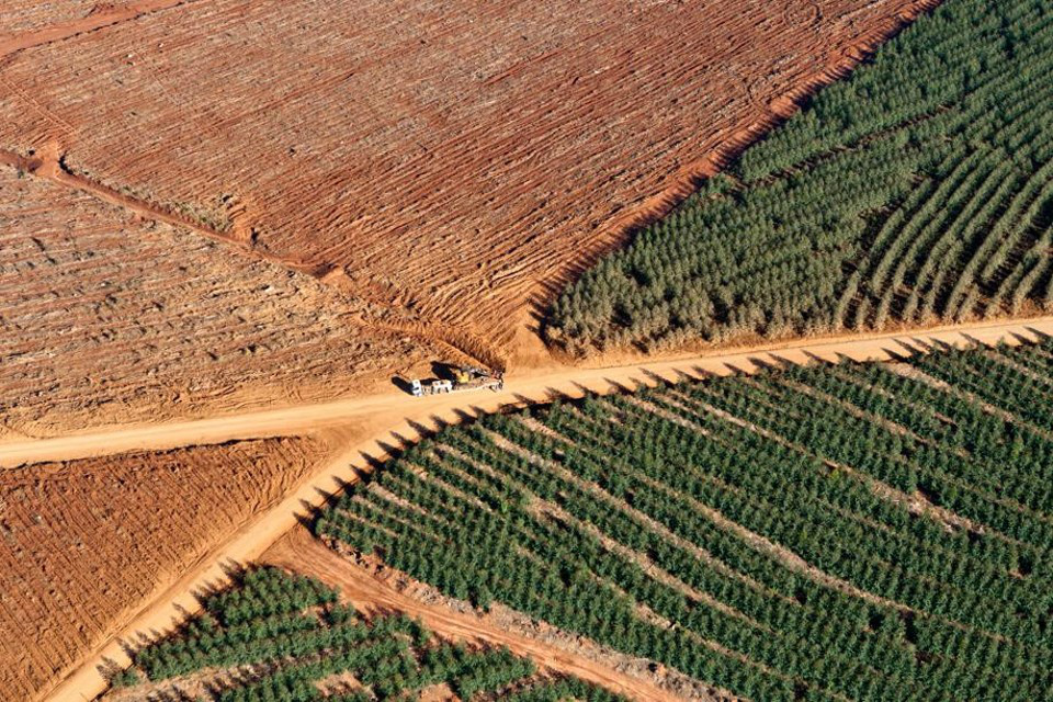 Agricultura pede prorrogação do prazo de inscrição em cadastro ambiental