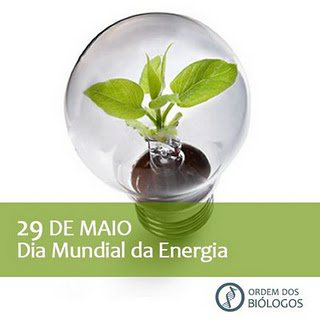 29 de Maio - Dia Mundial da Energia