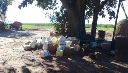 18 de agosto: Dia Nacional do Campo Limpo