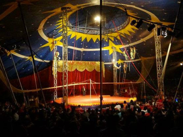 Os espetáculos contam com diversas atrações incluindo os engraçadíssimos palhaços que jamais poderá faltar em um circoFoto: Divulgação