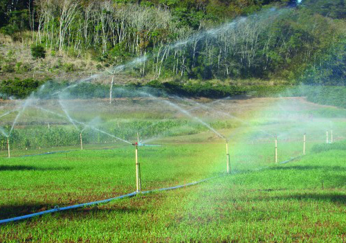 Segundo a Organização das Nações Unidas (ONU), a agricultura é responsável hoje por 70% do consumo total de água do planeta / Foto: Divulgação