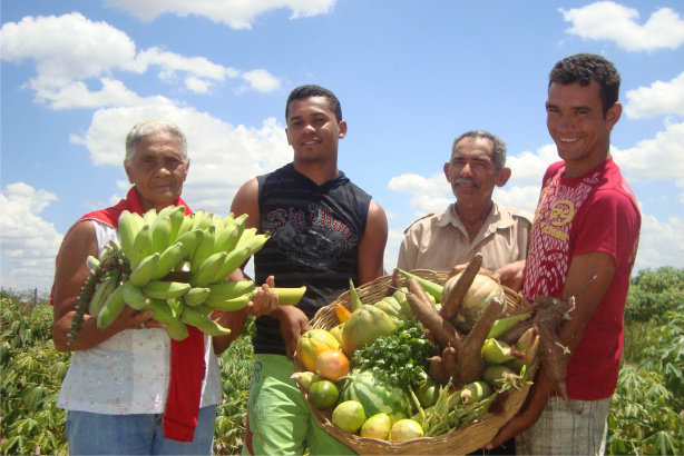 98,7% das municípios têm programa de agricultura familiar
