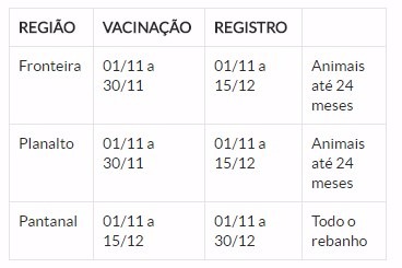 Febre aftosa: meta de MS é imunizar 8 milhões de animais