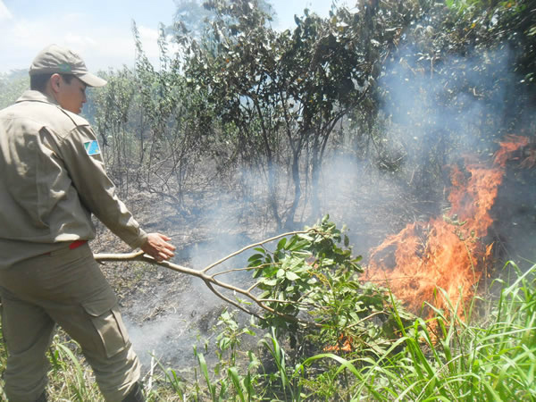 Incêndio na região do Pantanal devasta 4 mil hectares