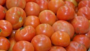 Tomate puxou a alta de preços na prévia do IPCA de abrilFoto: Divulgação 